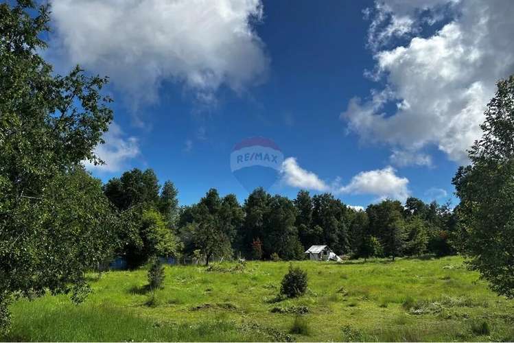 Venta Parcela Pucon 5.000mts2 Segunda Faja - Imagen 2