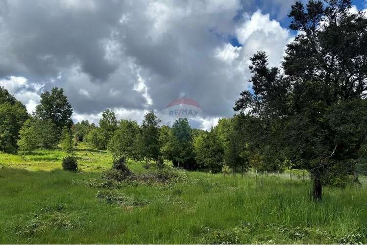 Venta Parcela Pucon 5.000mts2 Segunda Faja - Imagen 16