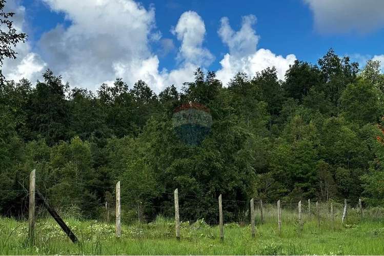 Venta Parcela Pucon 5.000mts2 Segunda Faja - Imagen 4