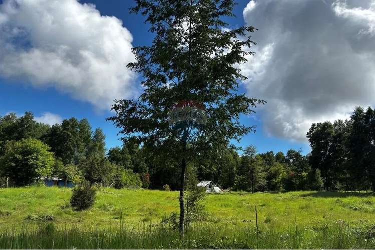 Venta Parcela Pucon 5.000mts2 Segunda Faja - Imagen 10