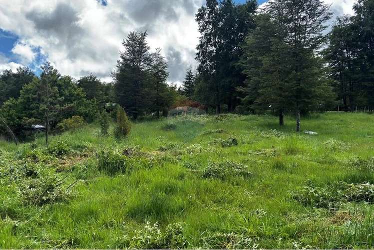 Venta Parcela Pucon 5.000mts2 Segunda Faja - Imagen 18