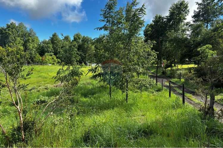 Venta Parcela Pucon 5.000mts2 Segunda Faja