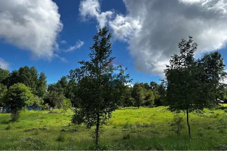 Venta Parcela Pucon 5.000mts2 Segunda Faja - Imagen 11