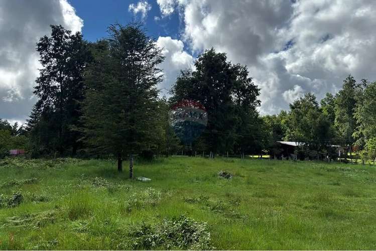 Venta Parcela Pucon 5.000mts2 Segunda Faja - Imagen 19