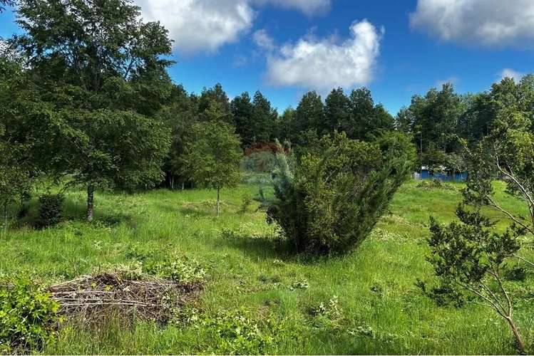 Venta Parcela Pucon 5.000mts2 Segunda Faja - Imagen 7