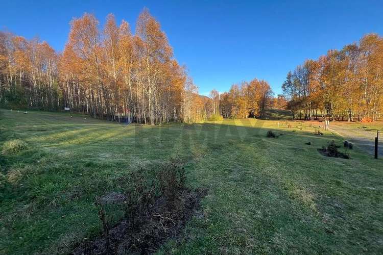Venta Parcela 5.020 M² En El Mañío - Imagen 2