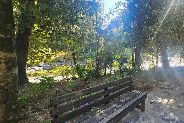 Venta Parcela 5.020 M² En El Mañío - Imagen 28
