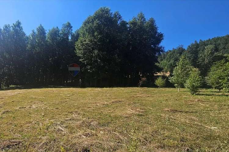 Venta Parcela 5.020 M² En El Mañío - Imagen 20