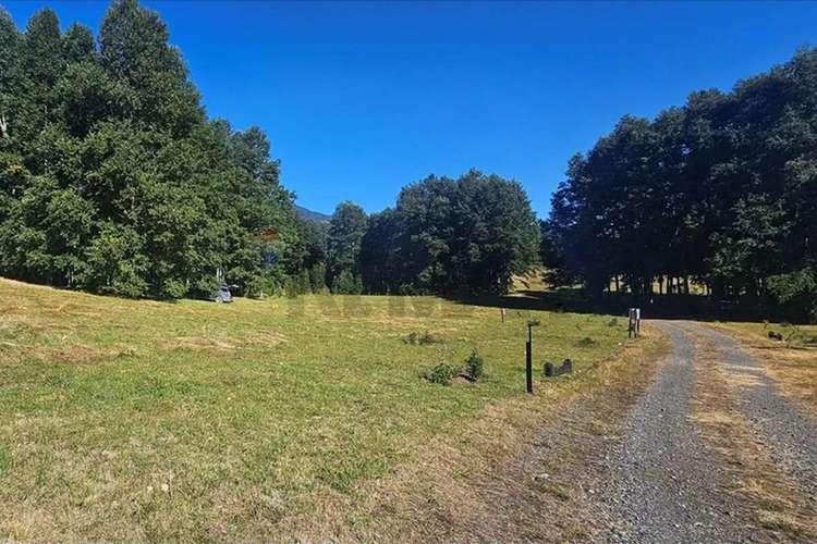 Venta Parcela 5.020 M² En El Mañío - Imagen 22