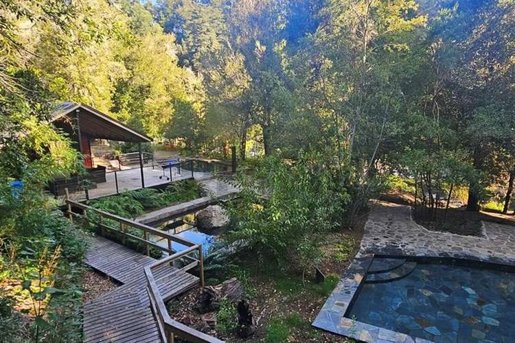 Venta Parcela 5.020 M² En El Mañío - Imagen 29