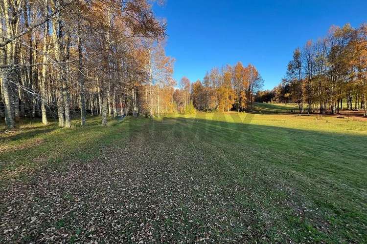 Venta Parcela 5.020 M² En El Mañío - Imagen 7