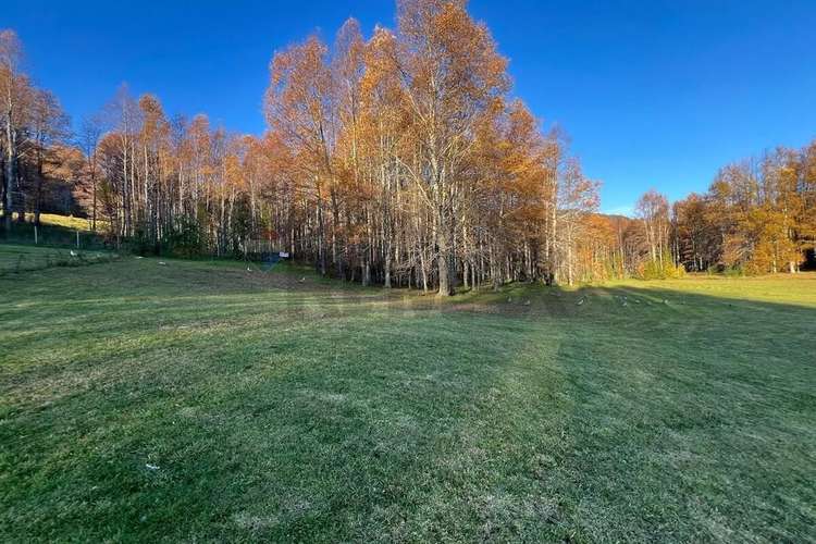 Venta Parcela 5.020 M² En El Mañío - Imagen 3