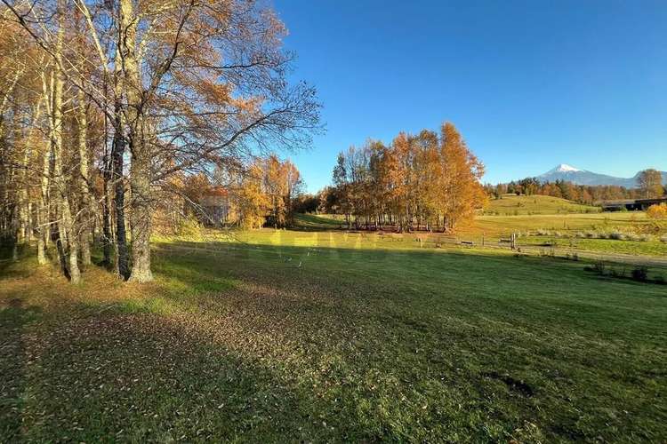 Venta Parcela 5.020 M² En El Mañío - Imagen 11