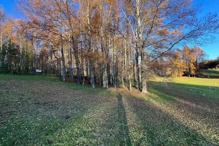 Venta Parcela 5.020 M² En El Mañío - Imagen 10