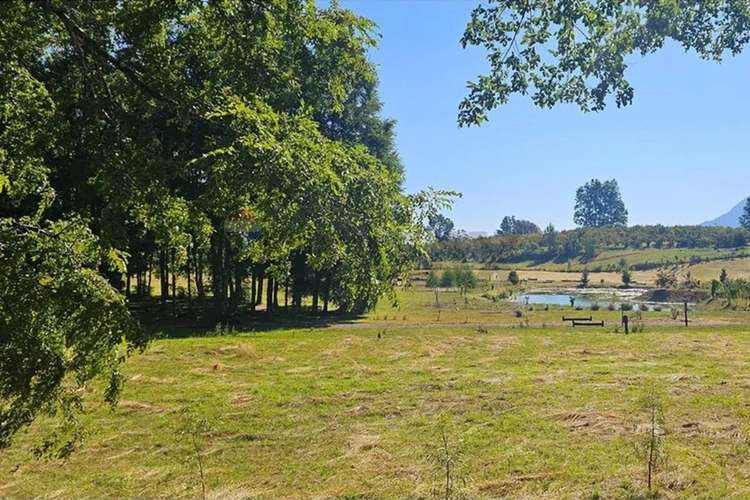 Venta Parcela 5.020 M² En El Mañío - Imagen 18