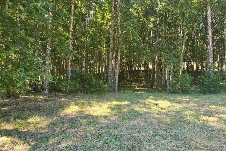 Venta Parcela 5.020 M² En El Mañío - Imagen 24