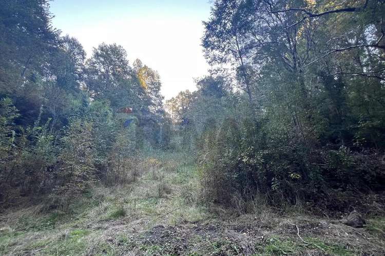 Venta Terreno 10.540 M² Quilaco Pucón - Imagen 6