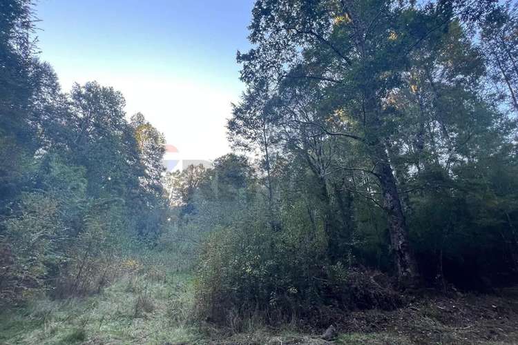 Venta Terreno 10.540 M² Quilaco Pucón - Imagen 13