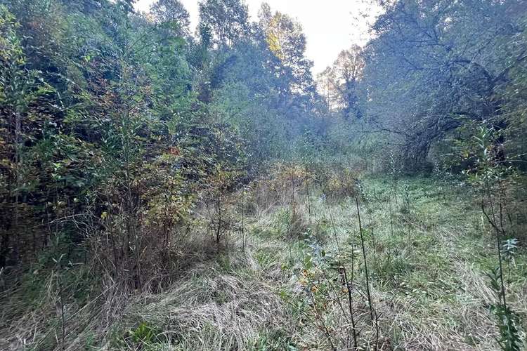 Venta Terreno 10.540 M² Quilaco Pucón - Imagen 7