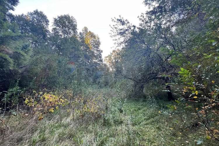 Venta Terreno 10.540 M² Quilaco Pucón - Imagen 5