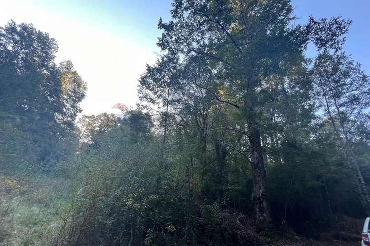 Venta Terreno 10.540 M² Quilaco Pucón - Imagen 11