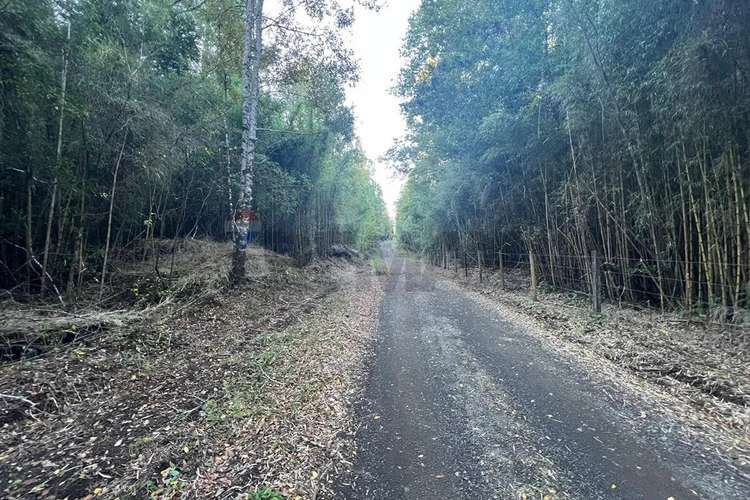 Venta Terreno 10.540 M² Quilaco Pucón - Imagen 19