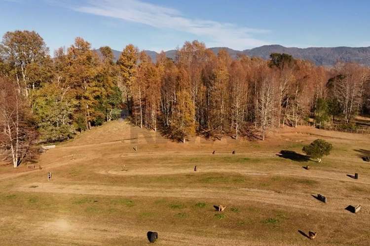Venta Terreno 2,5 Hectáreas Villarrica - Pucón - Imagen 13