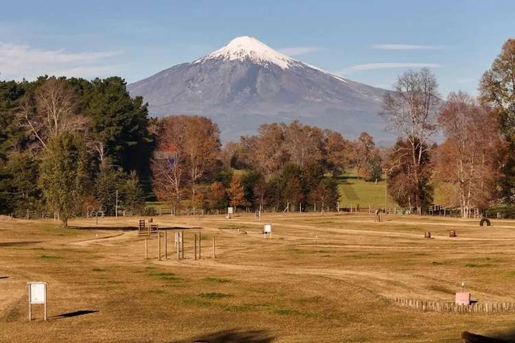 Venta Terreno 2,5 Hectáreas Villarrica - Pucón - Imagen 2