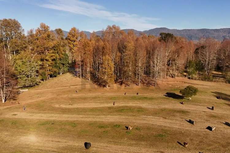 Venta Terreno 2,5 Hectáreas Villarrica - Pucón - Imagen 21