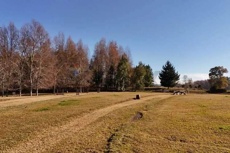 Venta Terreno 2,5 Hectáreas Villarrica - Pucón - Imagen 9