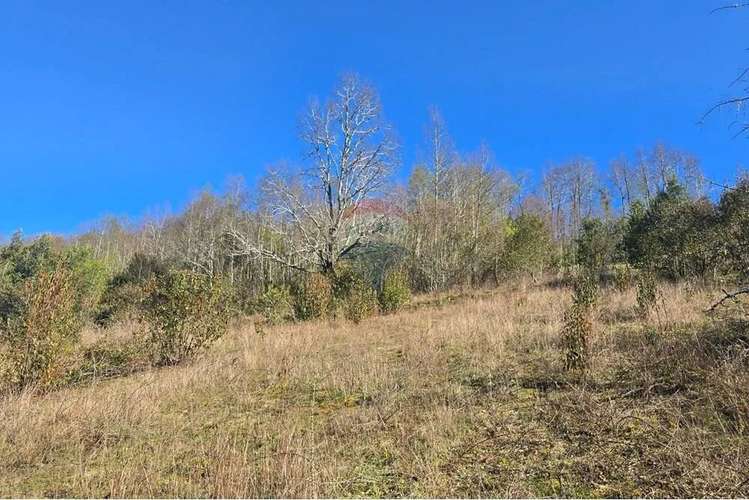 Venta Parcela Con Vistas Panoramicas - Imagen 11