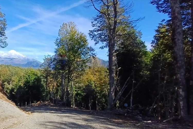 Venta Terreno En Condominio Bosque Pucón - Imagen 6