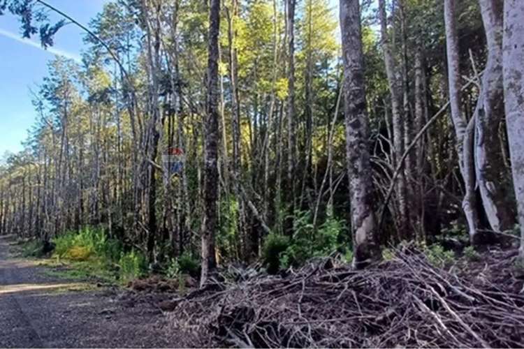 Venta Terreno En Condominio Bosque Pucón - Imagen 14