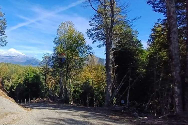 Venta Terreno En Condominio Bosque Pucón - Imagen 15