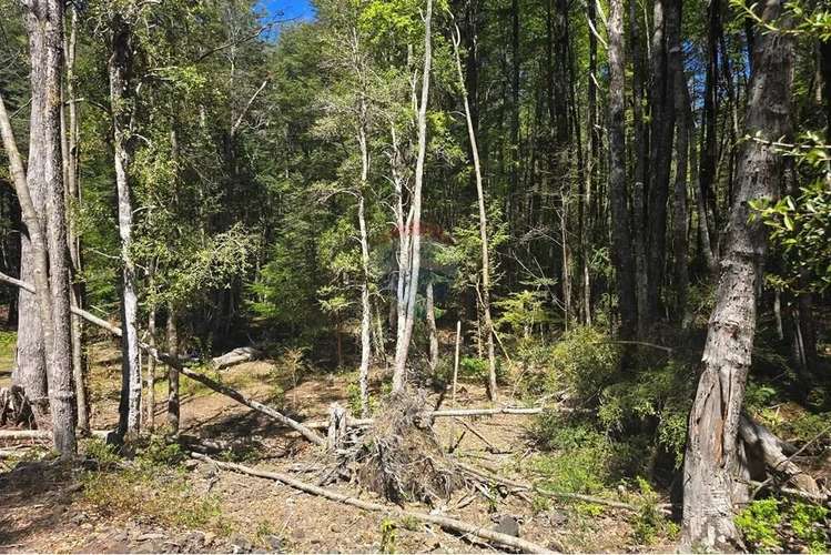 Venta Terreno En Los Nevados Pucón - Imagen 16