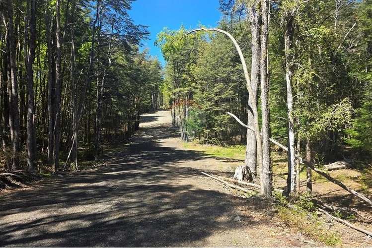Venta Terreno En Los Nevados Pucón - Imagen 15