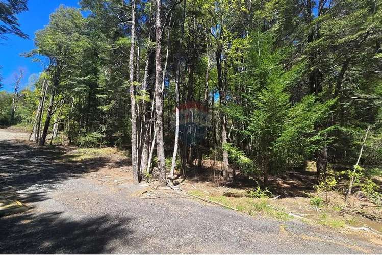 Venta Terreno En Los Nevados Pucón - Imagen 12