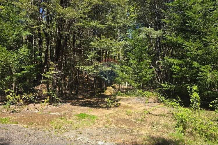 Venta Terreno En Los Nevados Pucón - Imagen 14