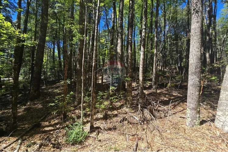 Venta Terreno En Los Nevados Pucón - Imagen 19