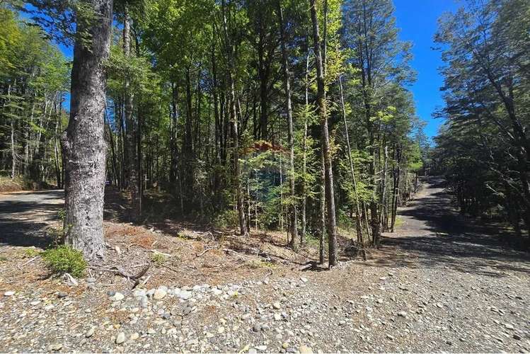 Venta Terreno En Los Nevados Pucón - Imagen 8