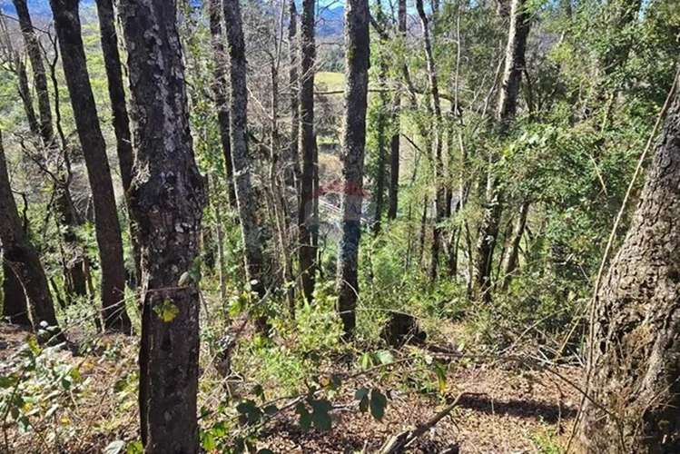 Venta Exclusivas Parcelas En Laguna Curilafquen - Imagen 16