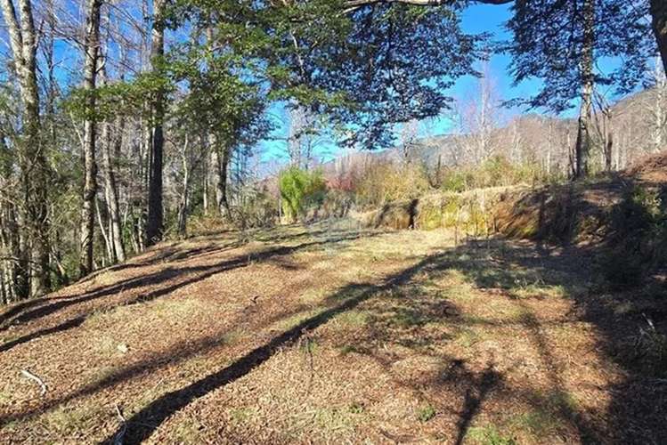 Venta Exclusivas Parcelas En Laguna Curilafquen - Imagen 17
