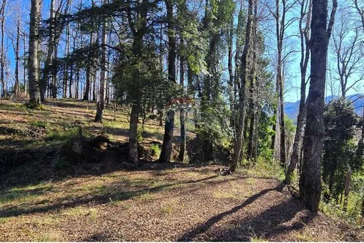 Venta Exclusivas Parcelas En Laguna Curilafquen - Imagen 15
