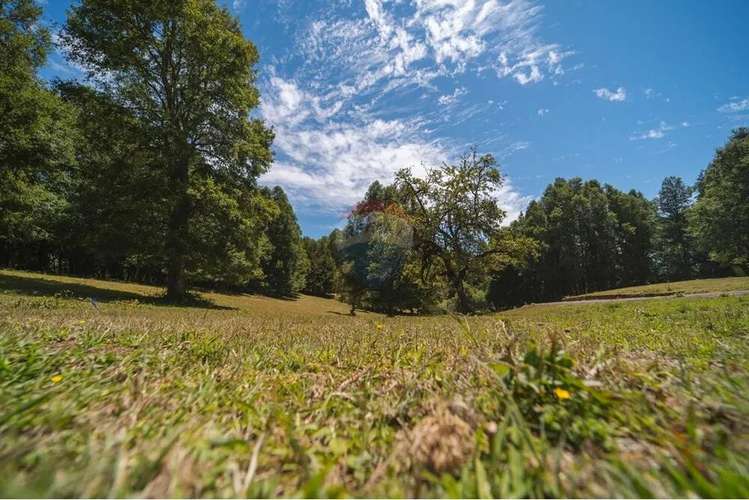 Venta Exclusivas Parcelas En Laguna Curilafquen - Imagen 4