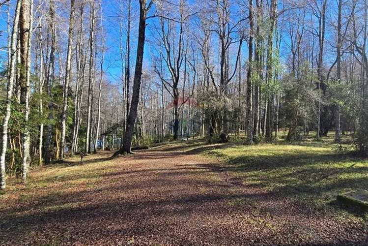 Venta Exclusivas Parcelas En Laguna Curilafquen - Imagen 3