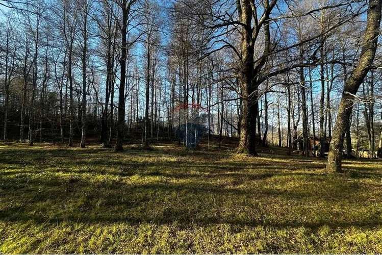 Venta Exclusivas Parcelas En Laguna Curilafquen - Imagen 11