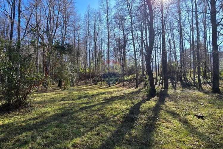 Venta Exclusivas Parcelas En Laguna Curilafquen - Imagen 6