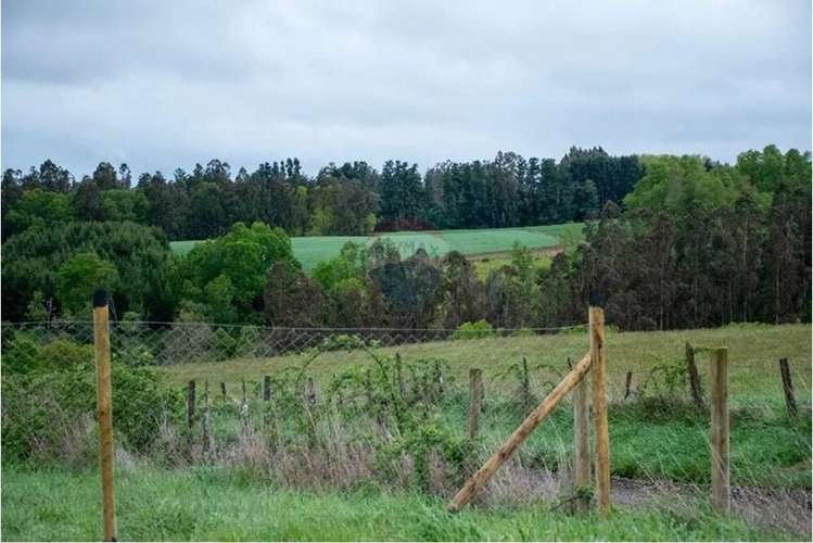 Venta Terreno De 4.8 Hectáreas Sector Centinela - Imagen 15