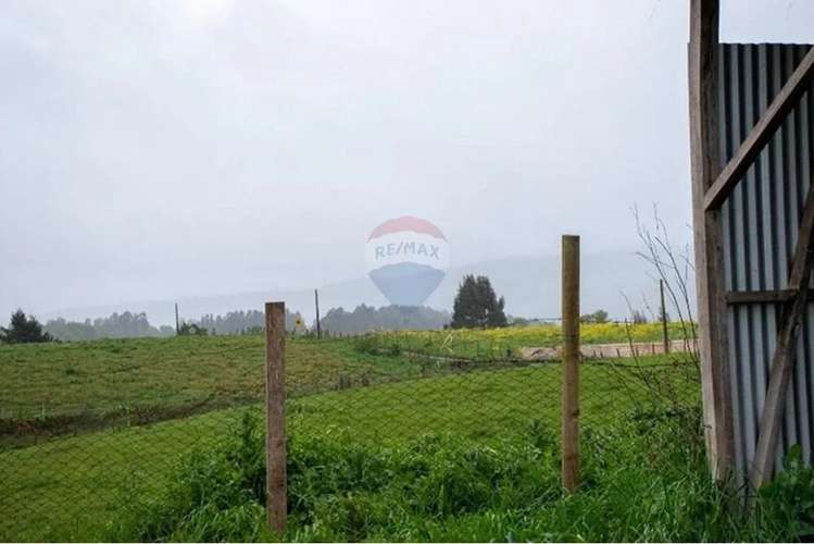 Venta Terreno De 4.8 Hectáreas Sector Centinela - Imagen 3