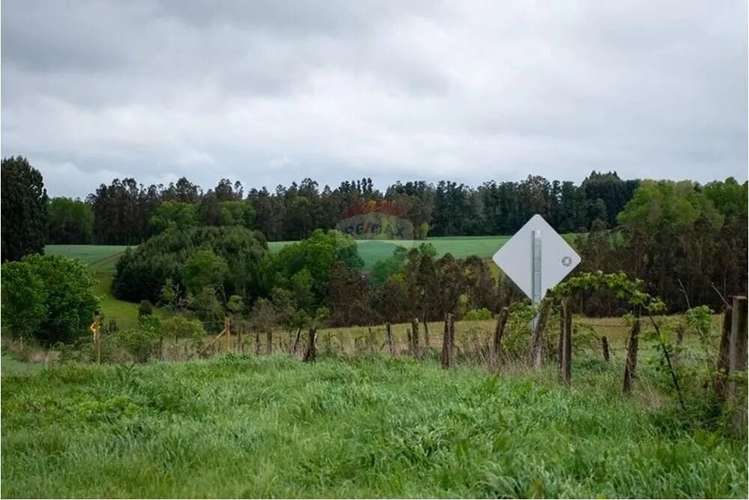 Venta Terreno De 4.8 Hectáreas Sector Centinela - Imagen 5